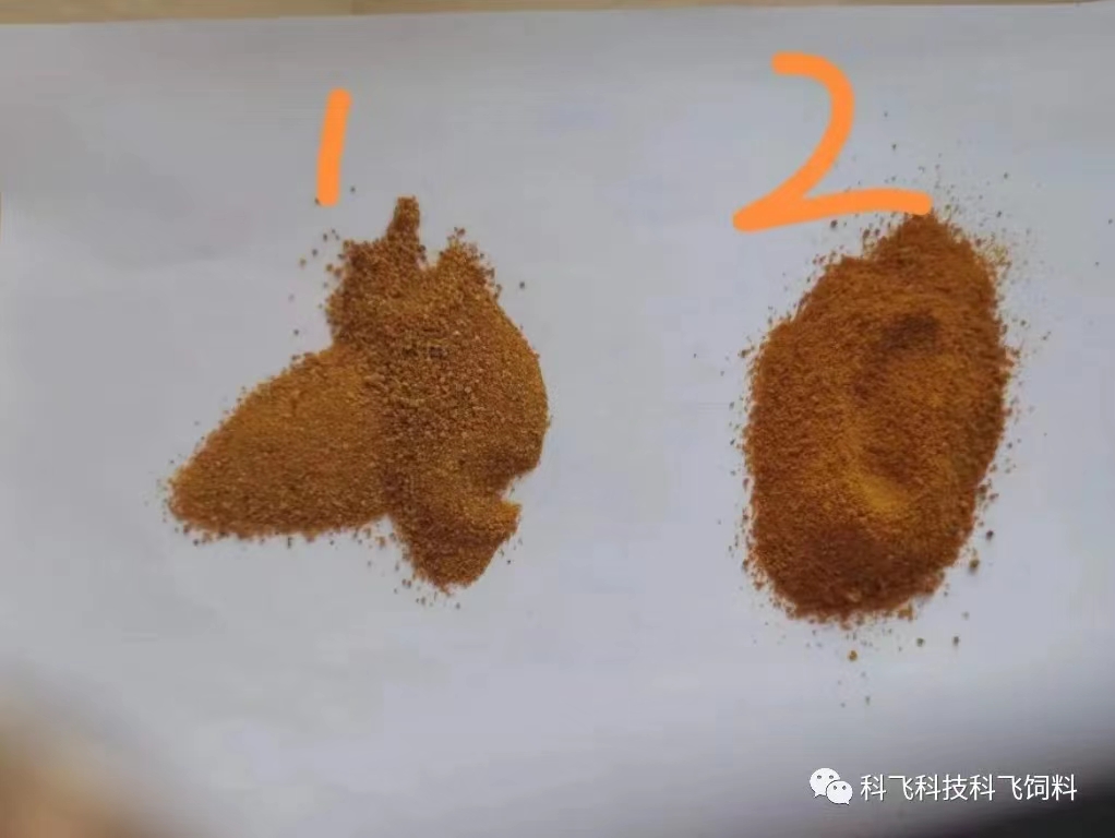 蛋白質(zhì)1-1.jpg